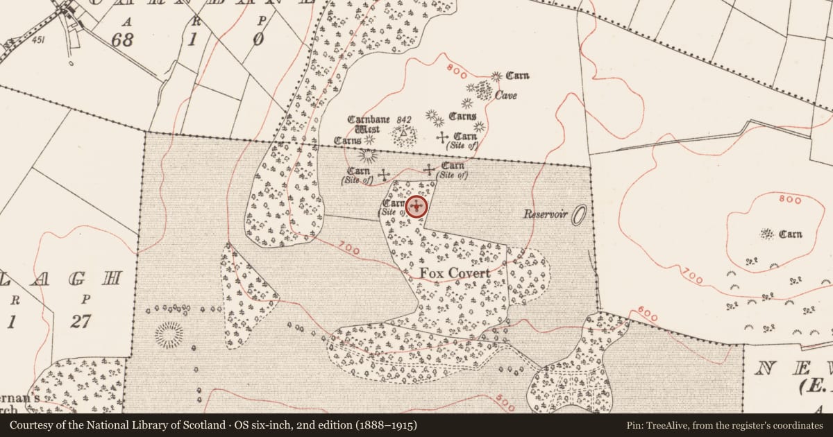 Ordnance Survey six-inch map, 2nd edition (1888–1915) covering the location of Cairn - unclassified, Loughcrew, County Meath, with a pin at the register's coordinates