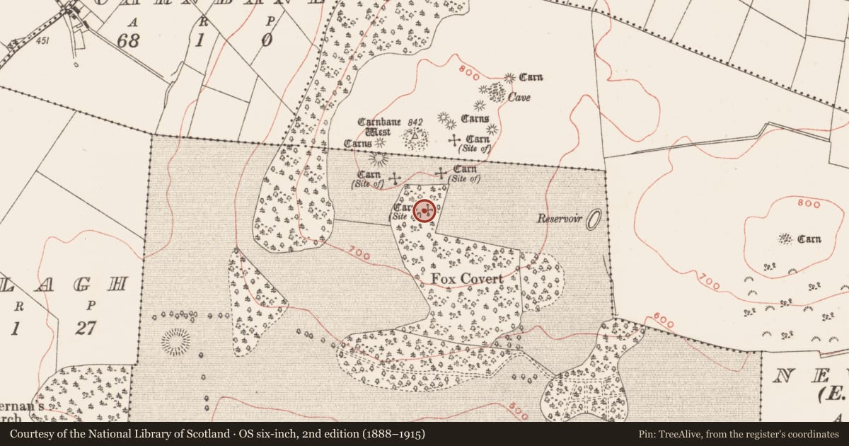 Ordnance Survey six-inch map, 2nd edition (1888–1915) covering the location of Standing stone, Loughcrew, County Meath, with a pin at the register's coordinates