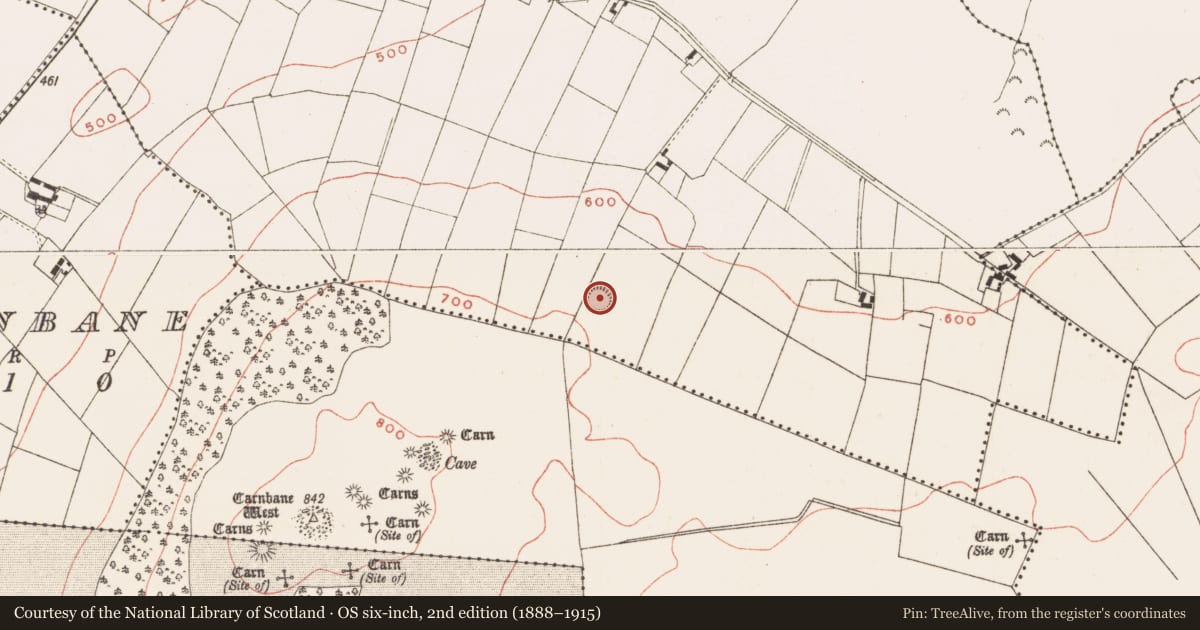 Ordnance Survey six-inch map, 2nd edition (1888–1915) covering the location of Ringfort - rath, Drumsawry Or Summerbank, County Meath, with a pin at the register's coordinates