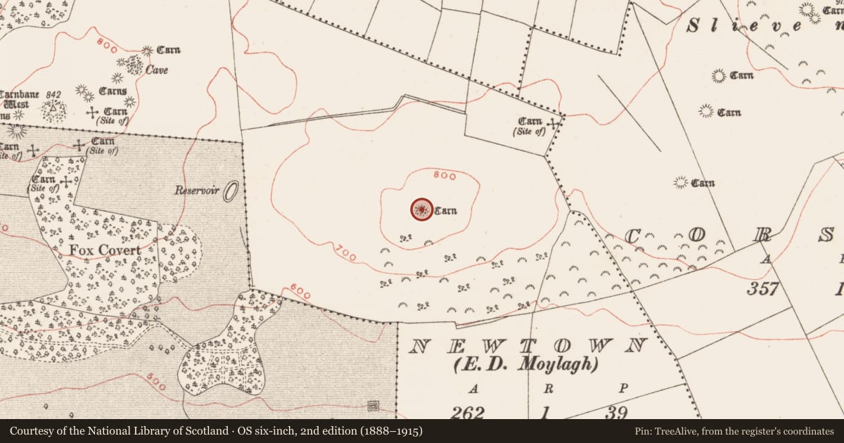 Ordnance Survey six-inch map, 2nd edition (1888–1915) covering the location of Cairn - unclassified, Newtown, County Meath, with a pin at the register's coordinates