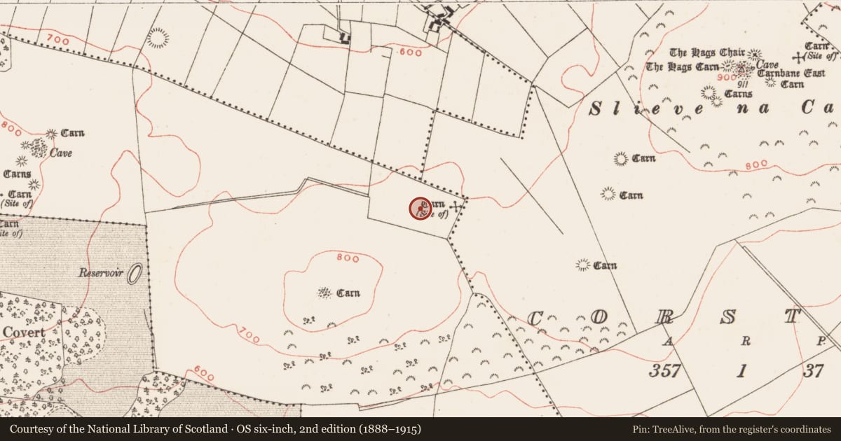 Ordnance Survey six-inch map, 2nd edition (1888–1915) covering the location of Barrow - ring-barrow, Newtown, County Meath, with a pin at the register's coordinates