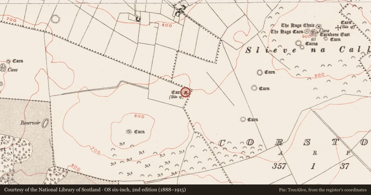 Ordnance Survey six-inch map, 2nd edition (1888–1915) covering the location of Cairn - unclassified, Newtown, County Meath, with a pin at the register's coordinates