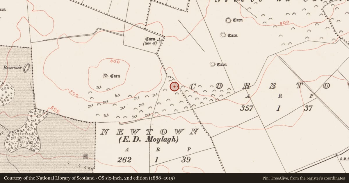 Ordnance Survey six-inch map, 2nd edition (1888–1915) covering the location of Ringfort - rath, Newtown, County Meath, with a pin at the register's coordinates