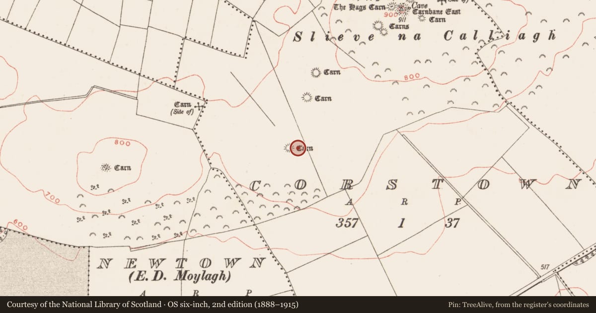 Ordnance Survey six-inch map, 2nd edition (1888–1915) covering the location of Standing stone - pair, Corstown, County Meath, with a pin at the register's coordinates