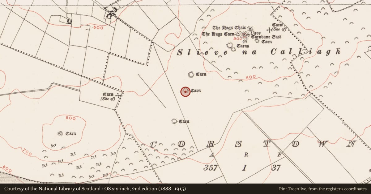 Ordnance Survey six-inch map, 2nd edition (1888–1915) covering the location of Cairn - unclassified, Corstown, County Meath, with a pin at the register's coordinates