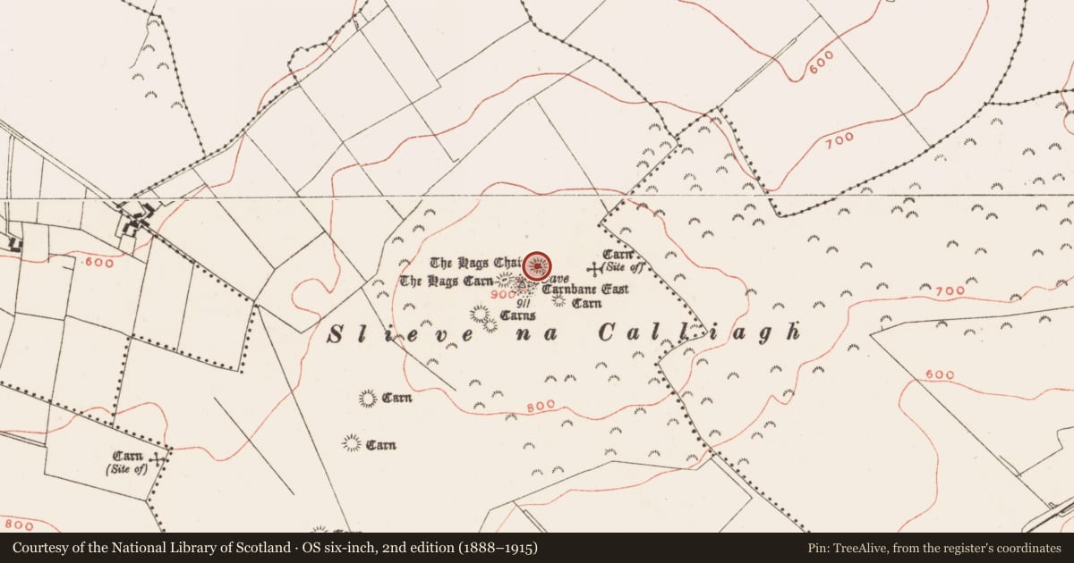Ordnance Survey six-inch map, 2nd edition (1888–1915) covering the location of Megalithic tomb - passage tomb, Corstown, County Meath, with a pin at the register's coordinates