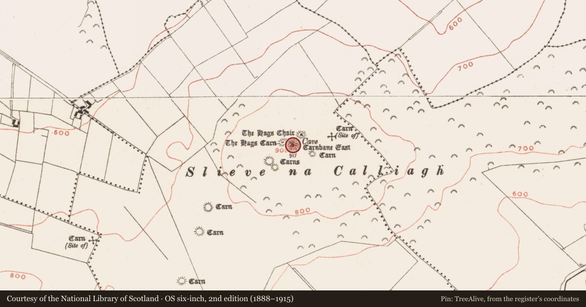 Ordnance Survey six-inch map, 2nd edition (1888–1915) covering the location of Megalithic tomb - passage tomb, Corstown, County Meath, with a pin at the register's coordinates