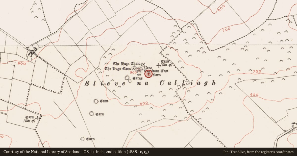 Ordnance Survey six-inch map, 2nd edition (1888–1915) covering the location of Megalithic tomb - passage tomb, Corstown, County Meath, with a pin at the register's coordinates