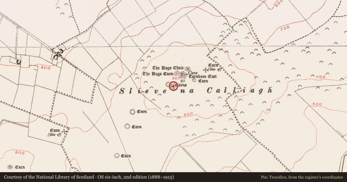 Ordnance Survey six-inch map, 2nd edition (1888–1915) covering the location of Megalithic tomb - passage tomb, Corstown, County Meath, with a pin at the register's coordinates