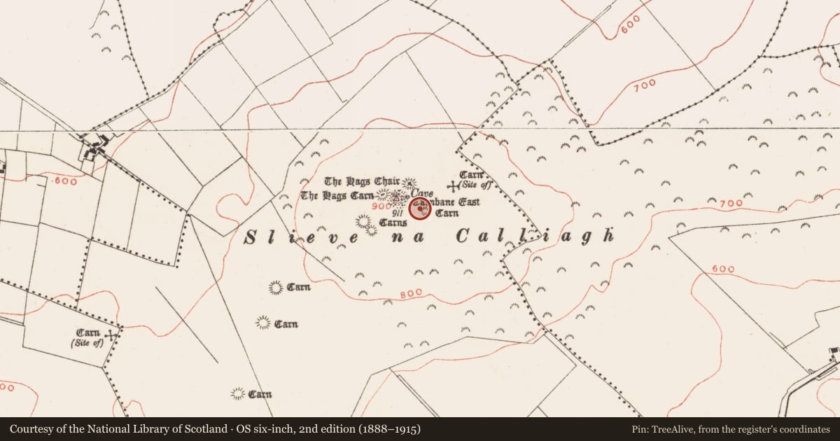 Ordnance Survey six-inch map, 2nd edition (1888–1915) covering the location of Standing stone, Corstown, County Meath, with a pin at the register's coordinates