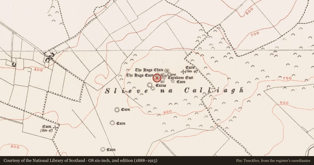 Ordnance Survey six-inch map, 2nd edition (1888–1915) covering the location of Hut site, Corstown, County Meath, with a pin at the register's coordinates