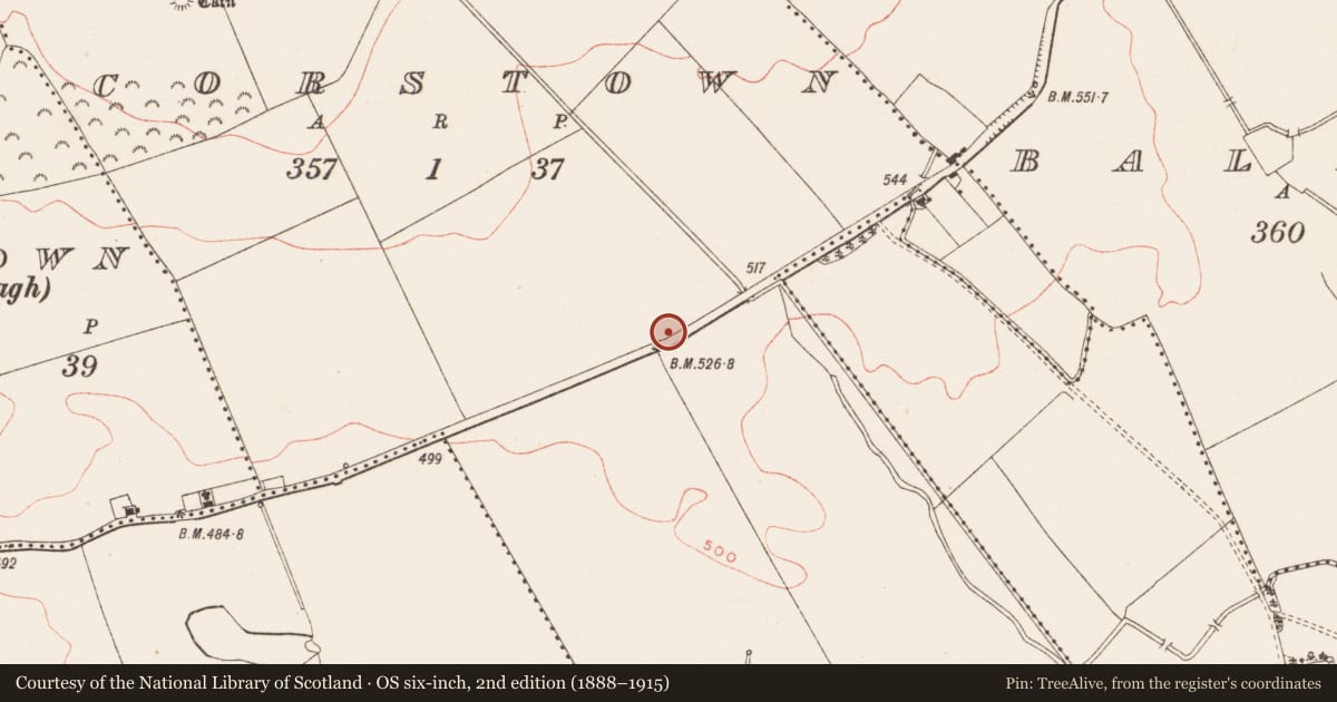 Ordnance Survey six-inch map, 2nd edition (1888–1915) covering the location of Cross - Wayside cross, Corstown, County Meath, with a pin at the register's coordinates