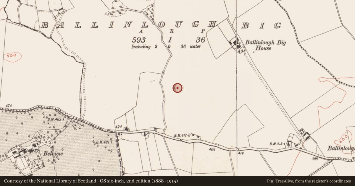 Ordnance Survey six-inch map, 2nd edition (1888–1915) covering the location of Ringfort - rath, Ballinlough Big, County Meath, with a pin at the register's coordinates