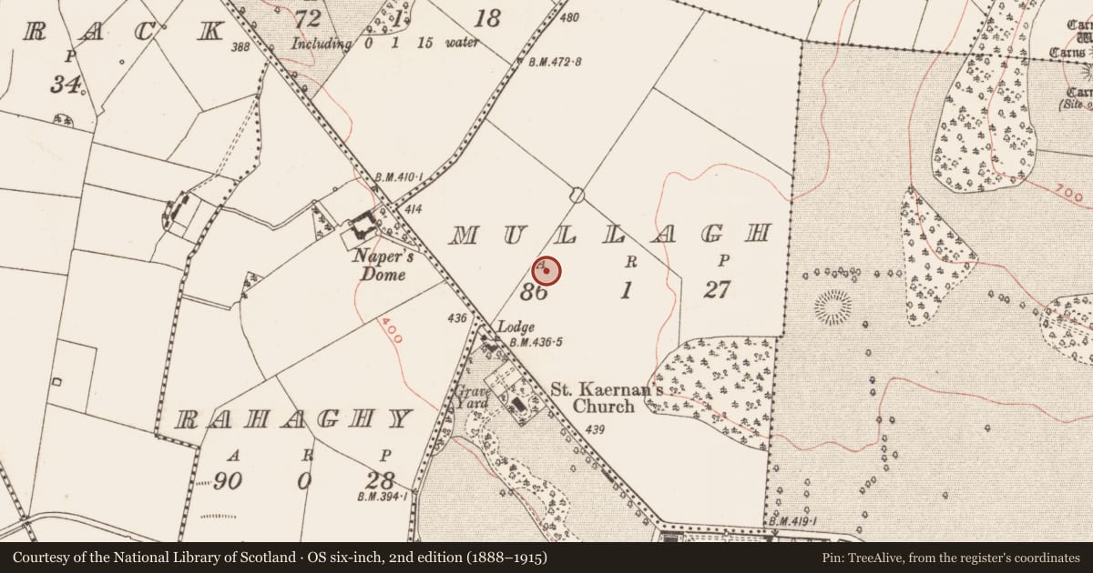 Ordnance Survey six-inch map, 2nd edition (1888–1915) covering the location of Standing stone, Mullagh, County Meath, with a pin at the register's coordinates