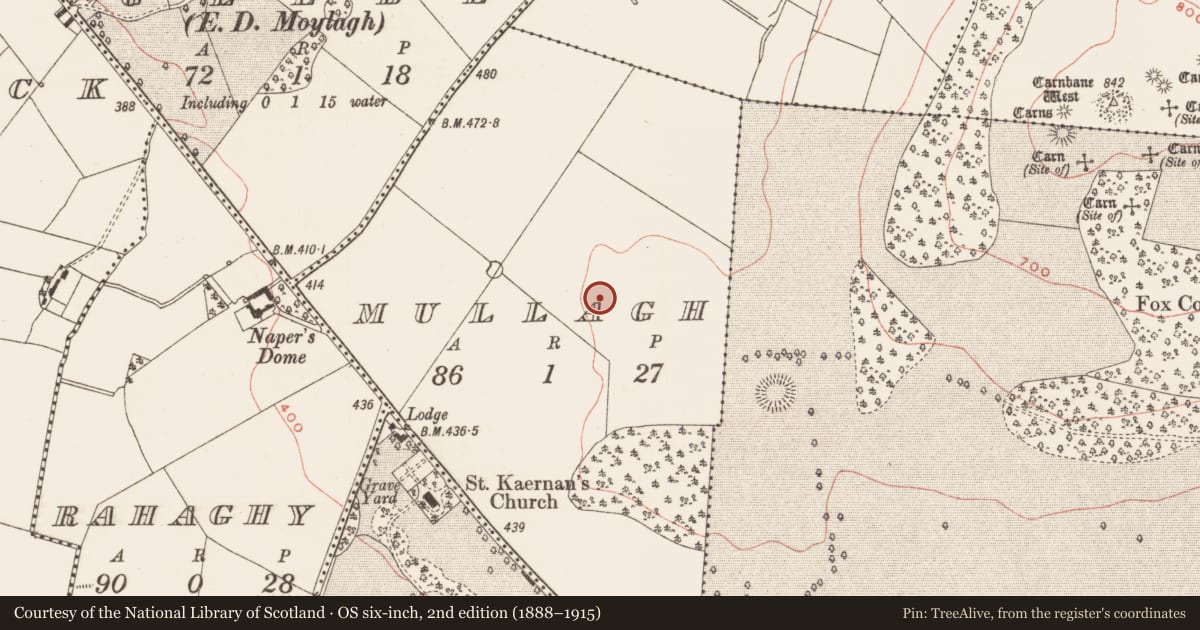 Ordnance Survey six-inch map, 2nd edition (1888–1915) covering the location of Standing stone, Mullagh, County Meath, with a pin at the register's coordinates