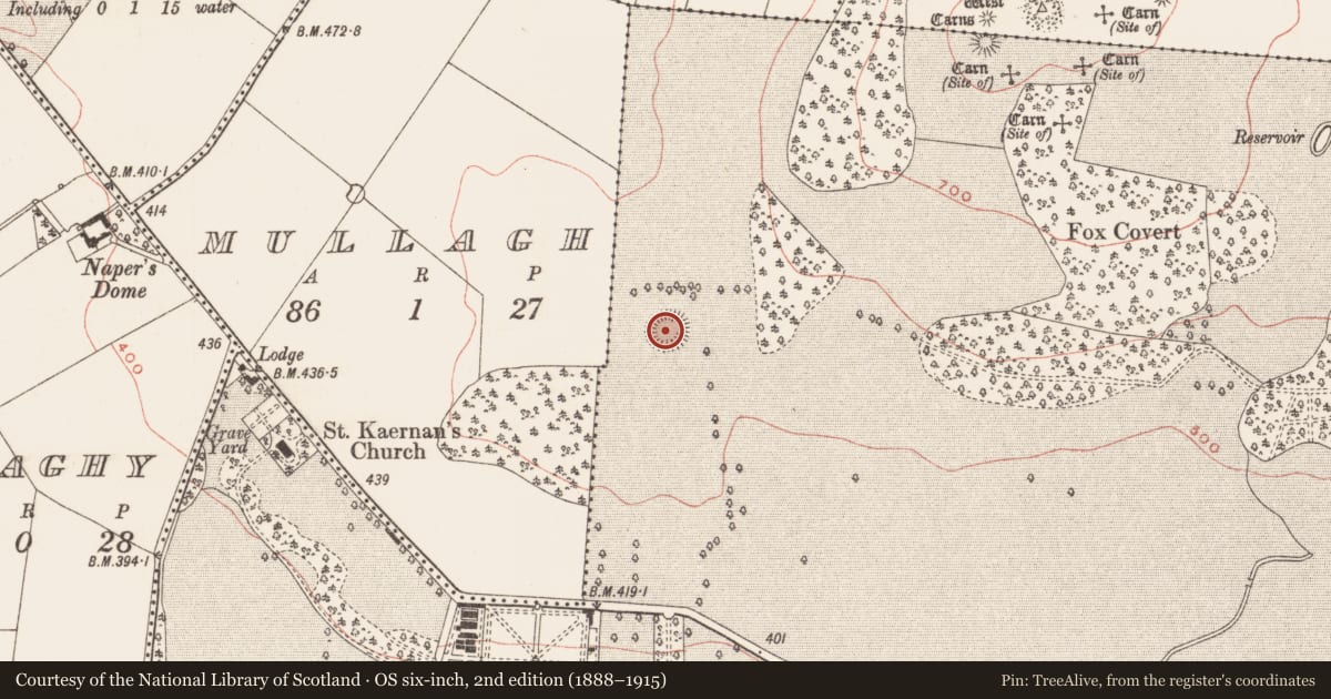 Ordnance Survey six-inch map, 2nd edition (1888–1915) covering the location of Ringfort - rath, Loughcrew, County Meath, with a pin at the register's coordinates