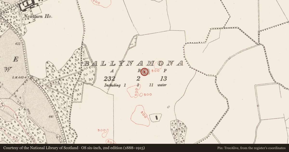 Ordnance Survey six-inch map, 2nd edition (1888–1915) covering the location of Ringfort - rath, Ballynamona, County Meath, with a pin at the register's coordinates