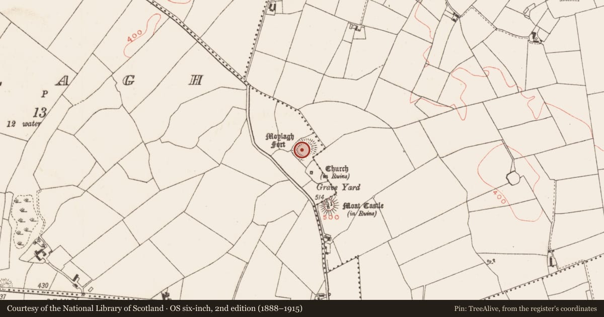 Ordnance Survey six-inch map, 2nd edition (1888–1915) covering the location of Ringfort - rath, Moylagh, County Meath, with a pin at the register's coordinates