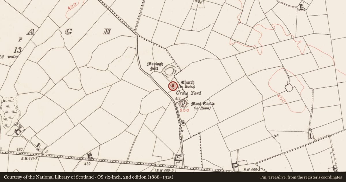 Ordnance Survey six-inch map, 2nd edition (1888–1915) covering the location of Graveslab, Moylagh, County Meath, with a pin at the register's coordinates
