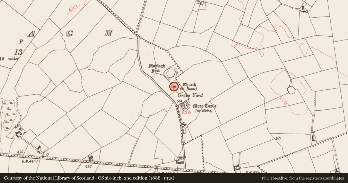 Ordnance Survey six-inch map, 2nd edition (1888–1915) covering the location of Graveslab, Moylagh, County Meath, with a pin at the register's coordinates