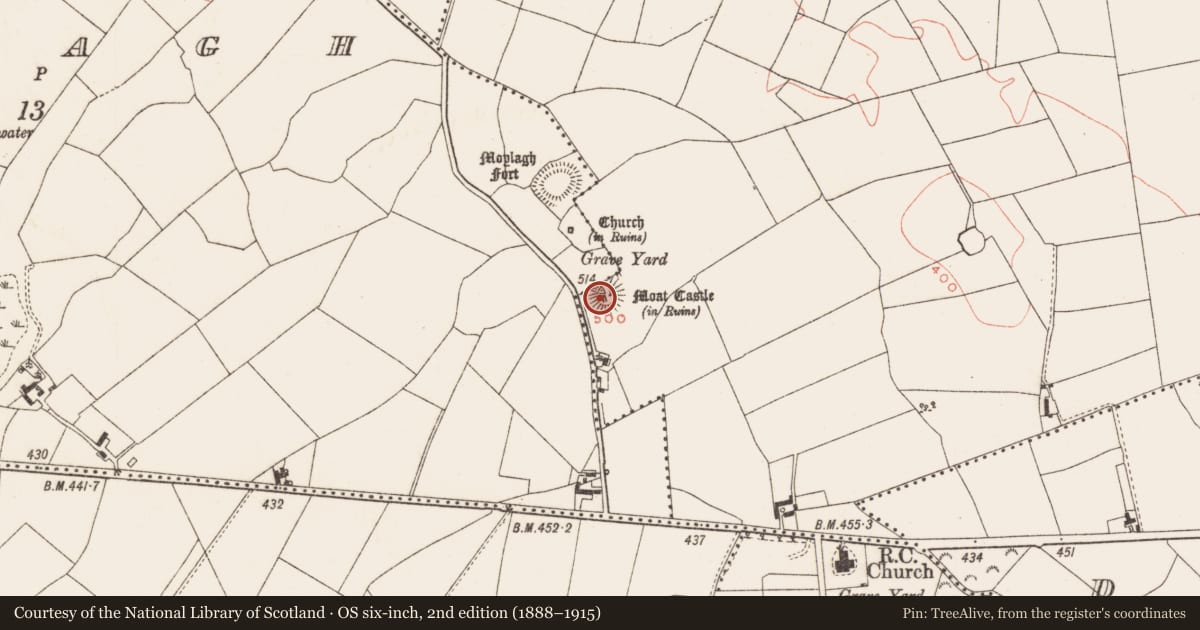 Ordnance Survey six-inch map, 2nd edition (1888–1915) covering the location of Castle - motte, Milltown, County Meath, with a pin at the register's coordinates