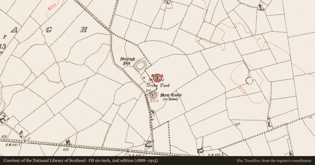 Ordnance Survey six-inch map, 2nd edition (1888–1915) covering the location of Field system, Milltown, County Meath, with a pin at the register's coordinates