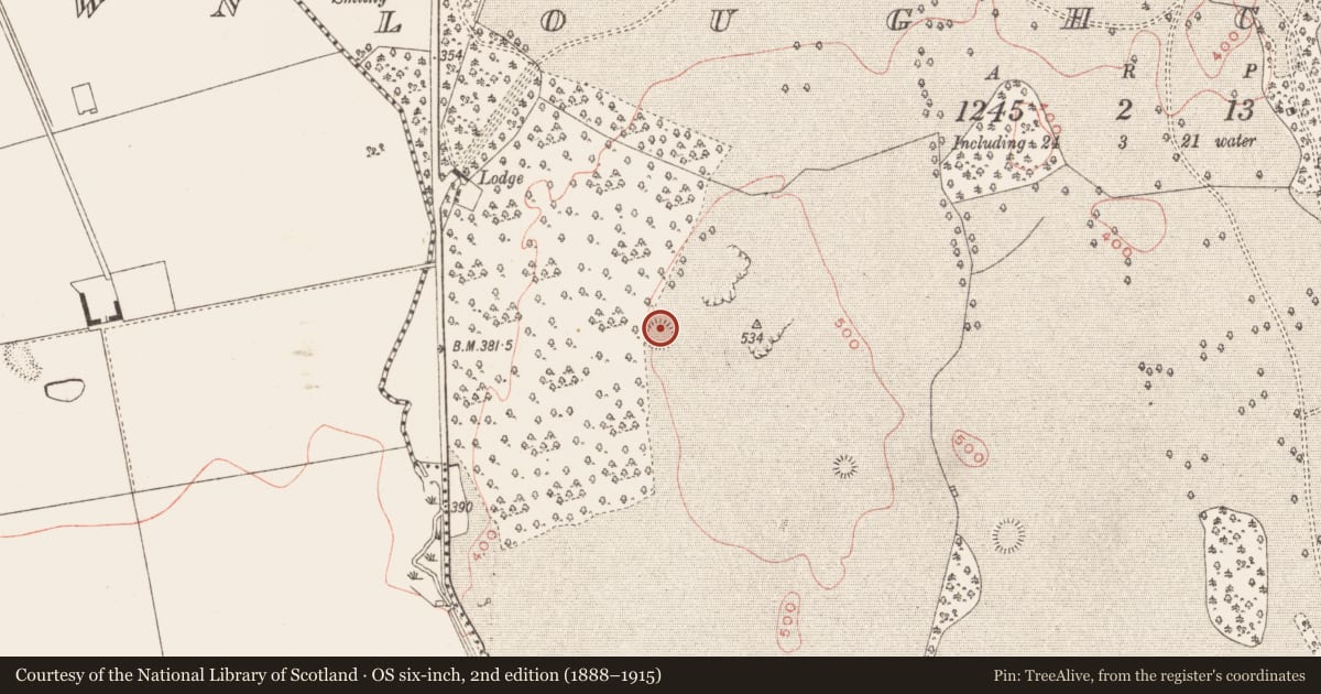 Ordnance Survey six-inch map, 2nd edition (1888–1915) covering the location of Hut site, Loughcrew, County Meath, with a pin at the register's coordinates
