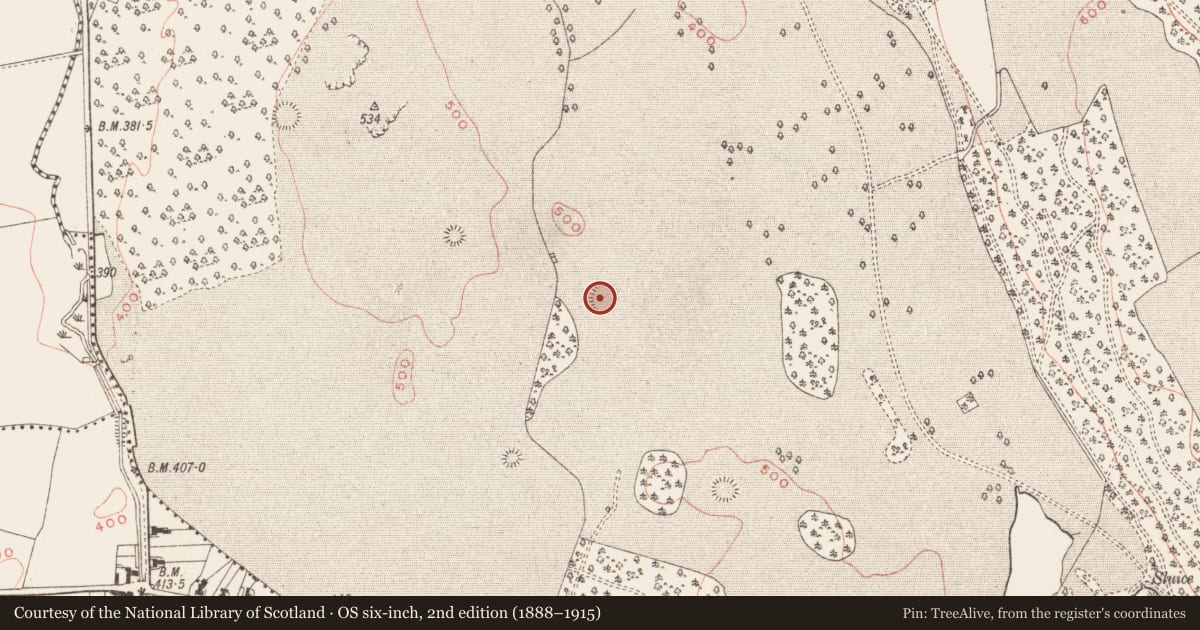 Ordnance Survey six-inch map, 2nd edition (1888–1915) covering the location of Ringfort - rath, Loughcrew, County Meath, with a pin at the register's coordinates