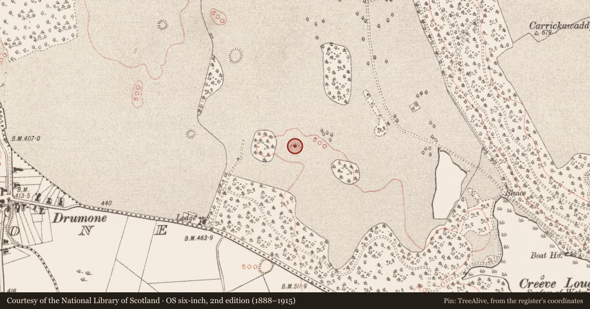 Ordnance Survey six-inch map, 2nd edition (1888–1915) covering the location of Hut site, Loughcrew, County Meath, with a pin at the register's coordinates