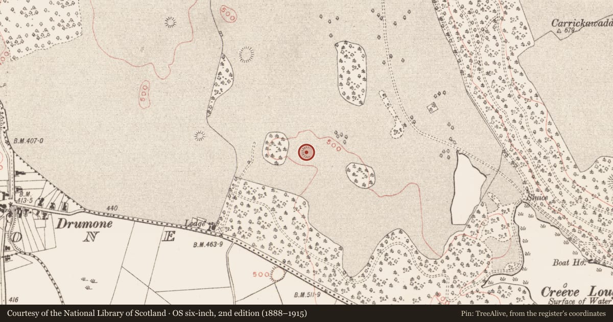 Ordnance Survey six-inch map, 2nd edition (1888–1915) covering the location of Hut site, Loughcrew, County Meath, with a pin at the register's coordinates