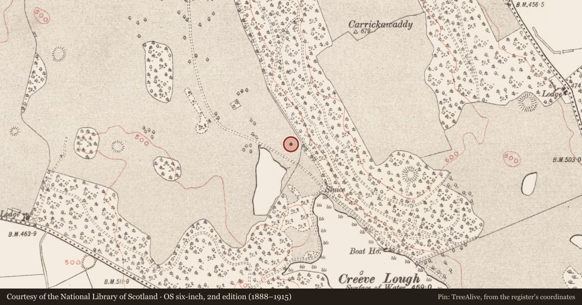 Ordnance Survey six-inch map, 2nd edition (1888–1915) covering the location of Ringfort - rath, Loughcrew, County Meath, with a pin at the register's coordinates