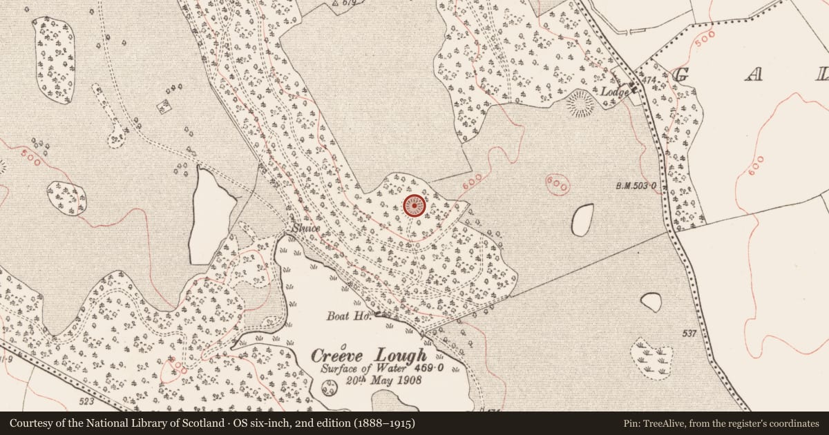 Ordnance Survey six-inch map, 2nd edition (1888–1915) covering the location of Hut site, Loughcrew, County Meath, with a pin at the register's coordinates