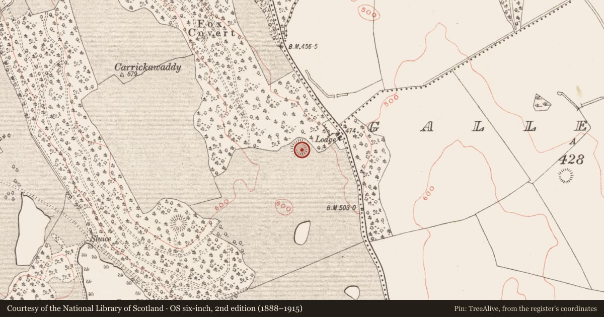 Ordnance Survey six-inch map, 2nd edition (1888–1915) covering the location of Ringfort - rath, Loughcrew, County Meath, with a pin at the register's coordinates