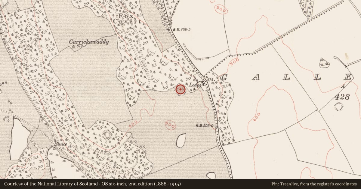 Ordnance Survey six-inch map, 2nd edition (1888–1915) covering the location of Hut site, Loughcrew, County Meath, with a pin at the register's coordinates