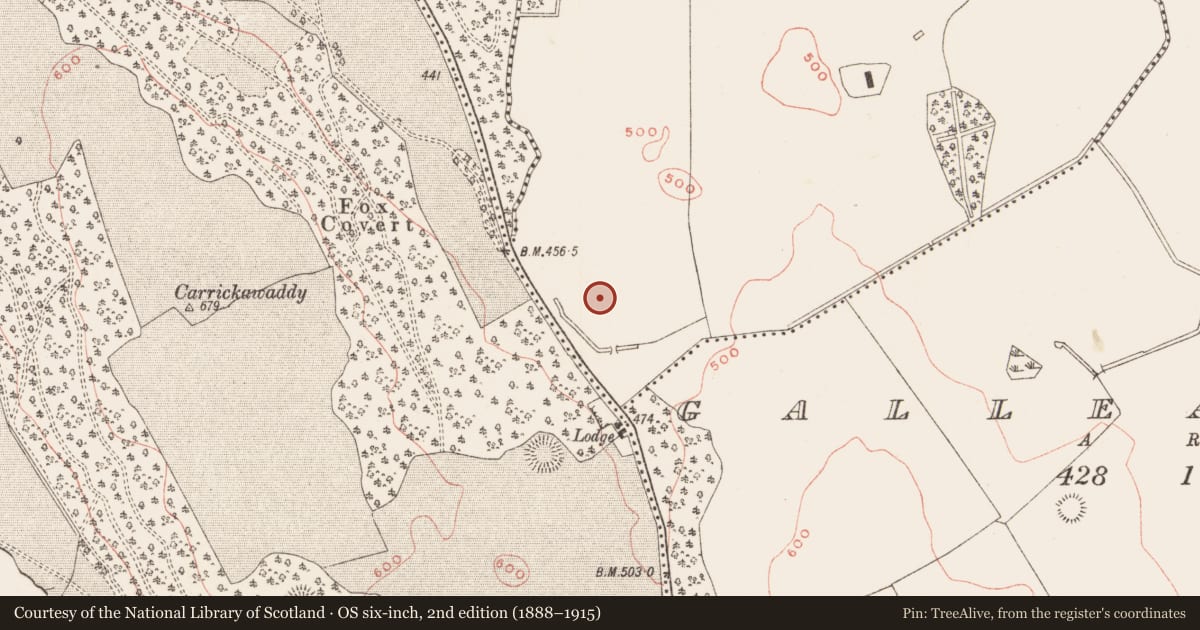Ordnance Survey six-inch map, 2nd edition (1888–1915) covering the location of Barrow - mound barrow, Ballynamona, County Meath, with a pin at the register's coordinates