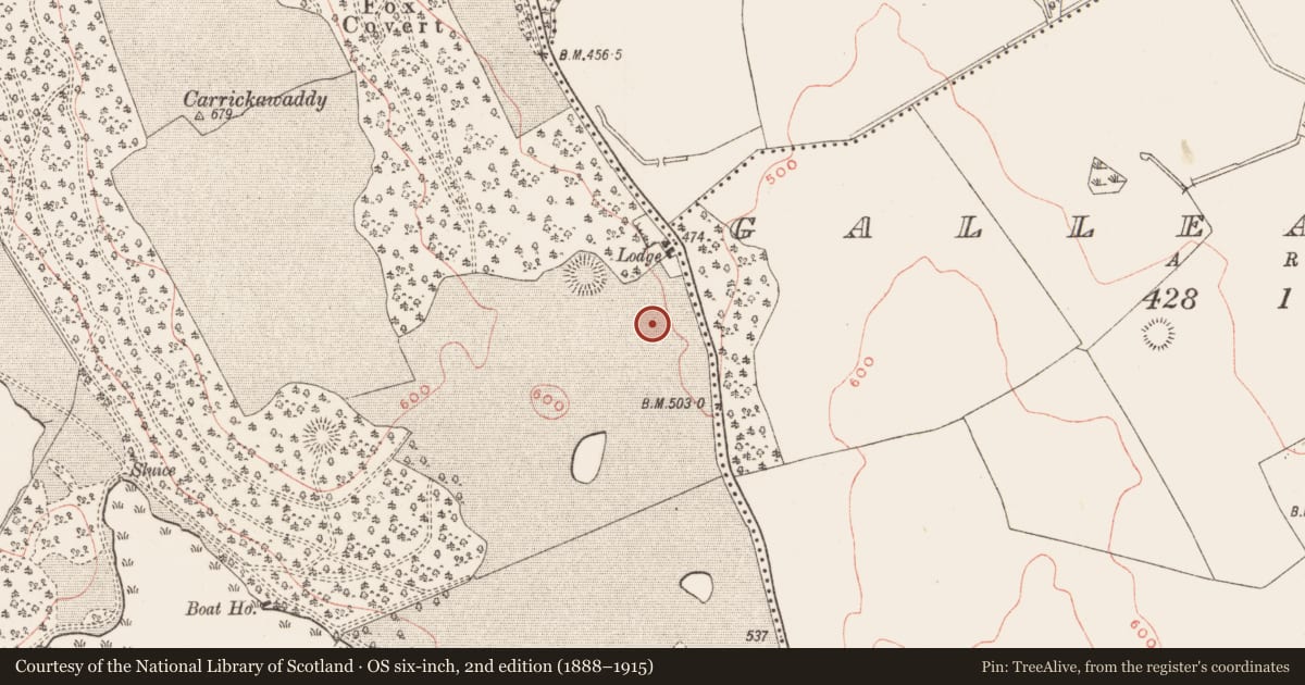Ordnance Survey six-inch map, 2nd edition (1888–1915) covering the location of Enclosure, Loughcrew, County Meath, with a pin at the register's coordinates