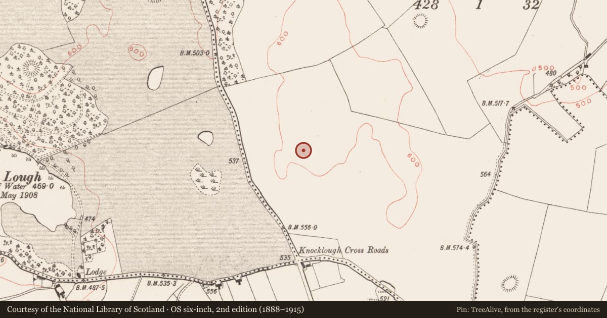 Ordnance Survey six-inch map, 2nd edition (1888–1915) covering the location of Ringfort - rath, Galleastown, County Meath, with a pin at the register's coordinates
