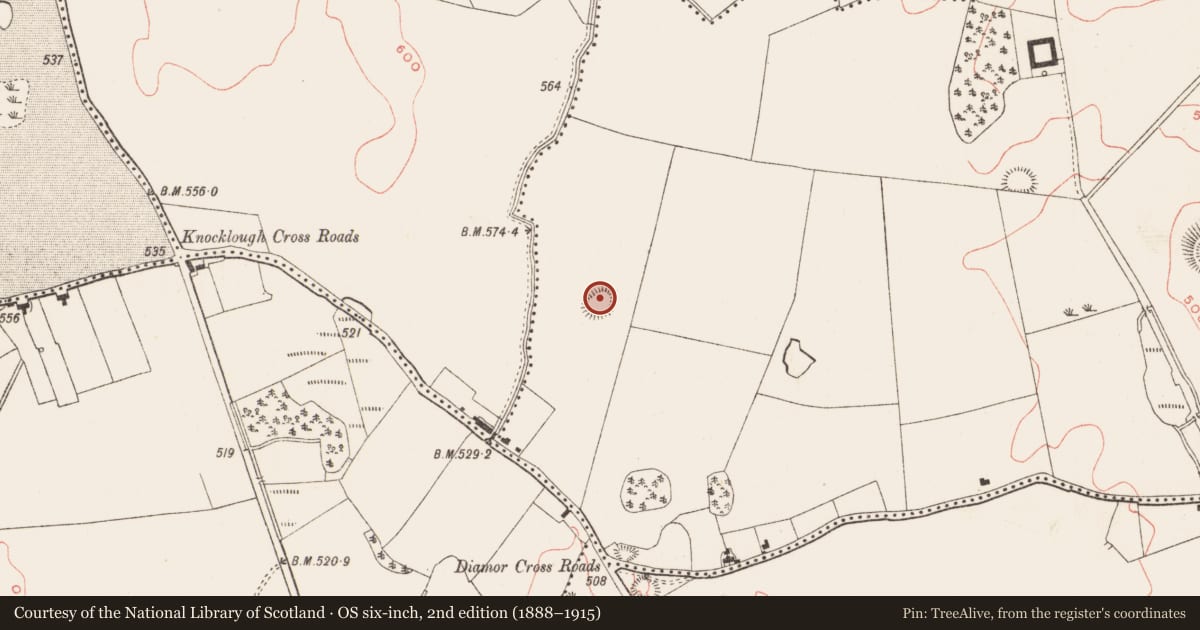 Ordnance Survey six-inch map, 2nd edition (1888–1915) covering the location of Hut site, Thomastown, County Meath, with a pin at the register's coordinates