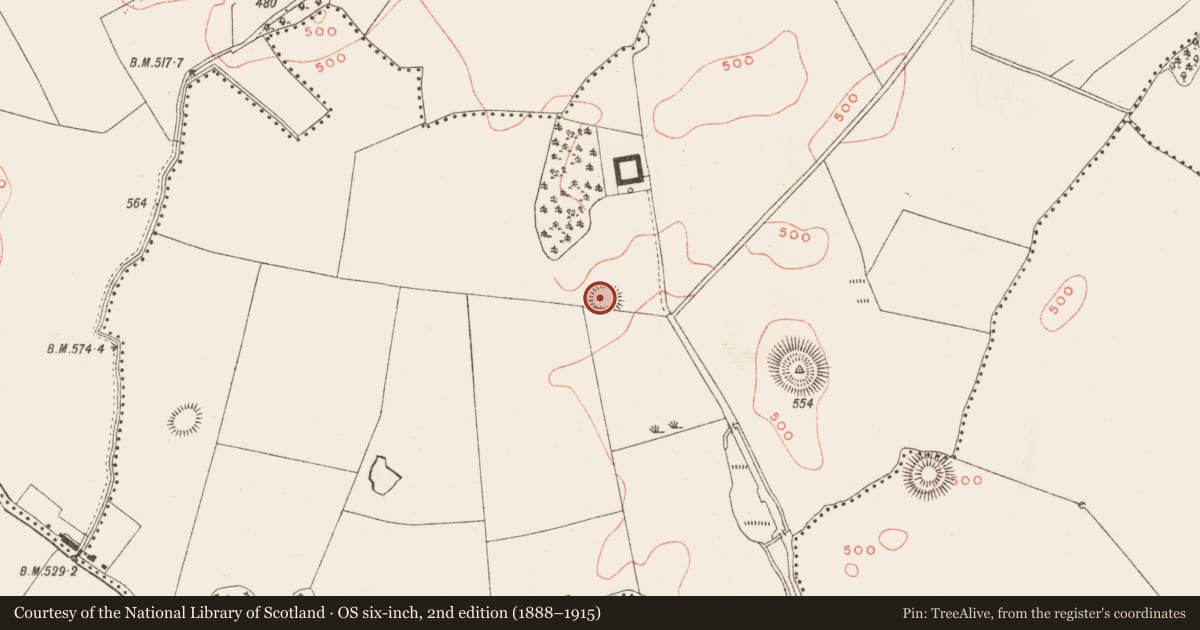 Ordnance Survey six-inch map, 2nd edition (1888–1915) covering the location of Ringfort - rath, Thomastown, County Meath, with a pin at the register's coordinates