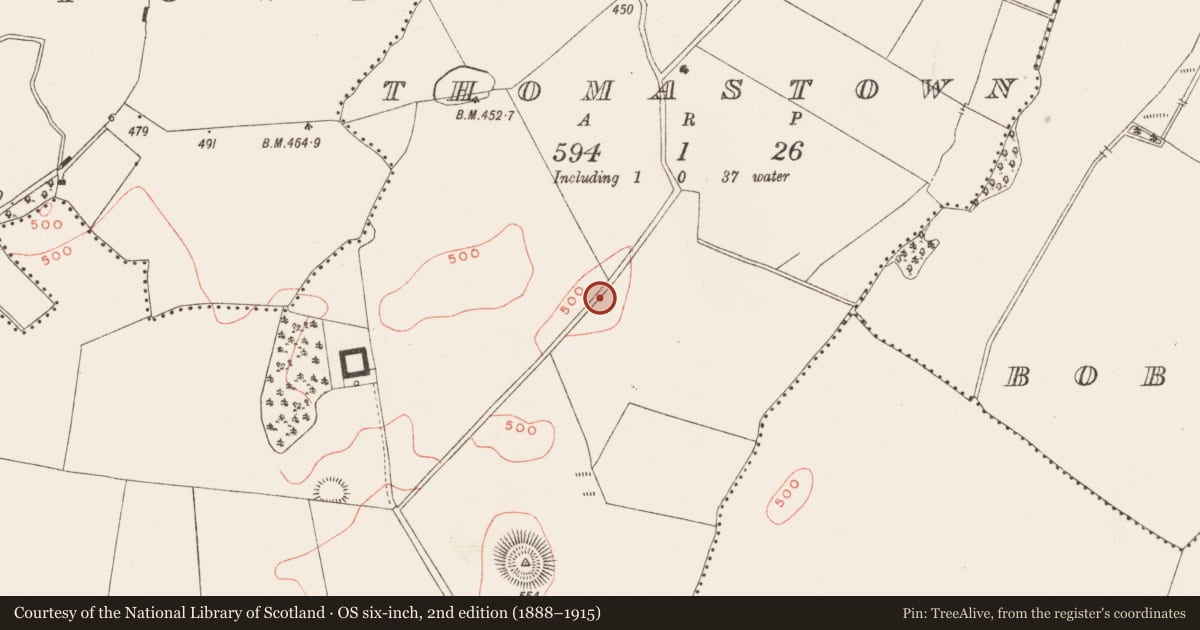 Ordnance Survey six-inch map, 2nd edition (1888–1915) covering the location of Hut site, Thomastown, County Meath, with a pin at the register's coordinates