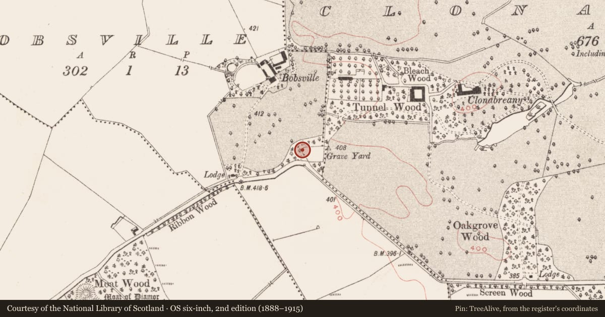 Ordnance Survey six-inch map, 2nd edition (1888–1915) covering the location of Cupmarked stone, Bobsville, County Meath, with a pin at the register's coordinates