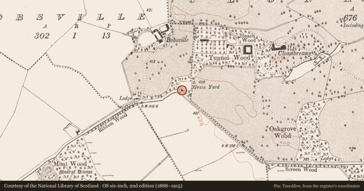 Ordnance Survey six-inch map, 2nd edition (1888–1915) covering the location of Cross-slab, Bobsville, County Meath, with a pin at the register's coordinates