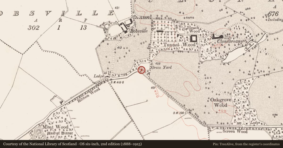 Ordnance Survey six-inch map, 2nd edition (1888–1915) covering the location of Cross-slab, Bobsville, County Meath, with a pin at the register's coordinates
