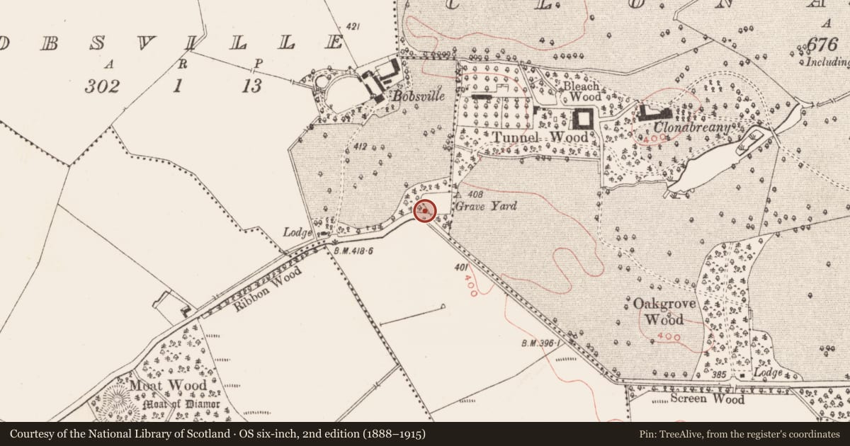 Ordnance Survey six-inch map, 2nd edition (1888–1915) covering the location of Cross-slab, Bobsville, County Meath, with a pin at the register's coordinates