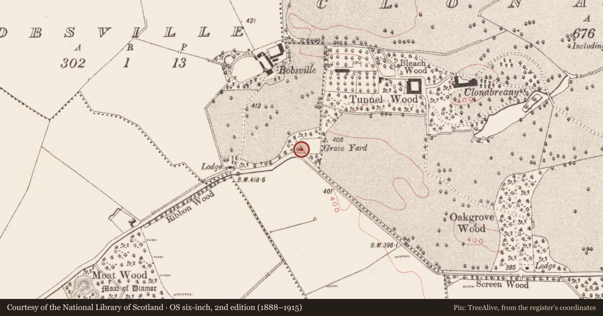 Ordnance Survey six-inch map, 2nd edition (1888–1915) covering the location of Cross-slab, Bobsville, County Meath, with a pin at the register's coordinates