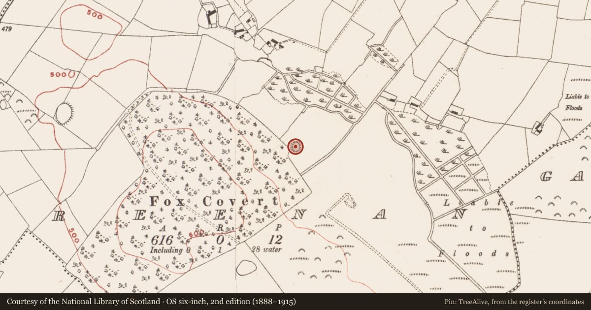 Ordnance Survey six-inch map, 2nd edition (1888–1915) covering the location of Earthwork, Greenan, County Meath, with a pin at the register's coordinates