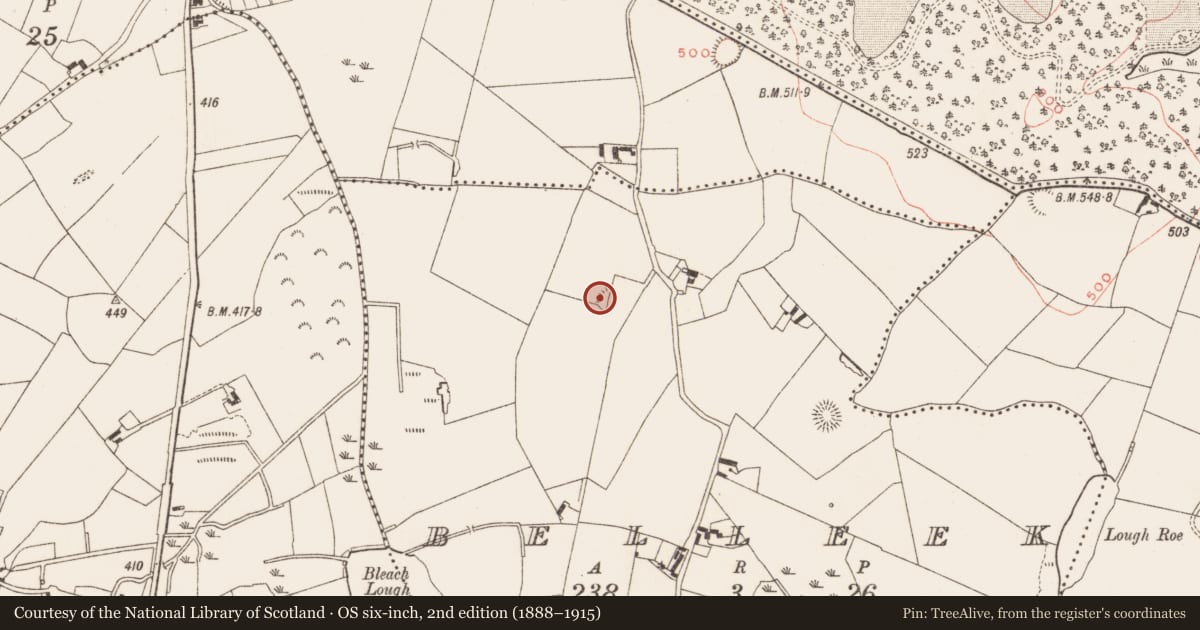 Ordnance Survey six-inch map, 2nd edition (1888–1915) covering the location of Ringfort - rath, Belleek, County Meath, with a pin at the register's coordinates