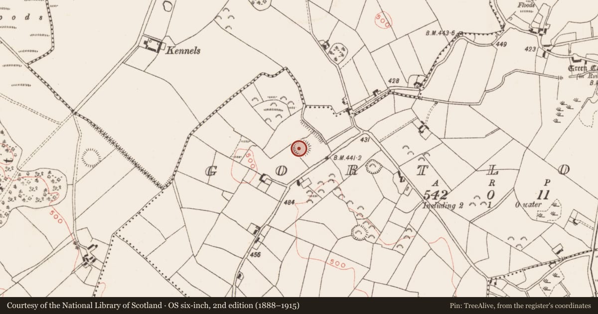 Ordnance Survey six-inch map, 2nd edition (1888–1915) covering the location of Ringfort - rath, Gortloney, County Meath, with a pin at the register's coordinates