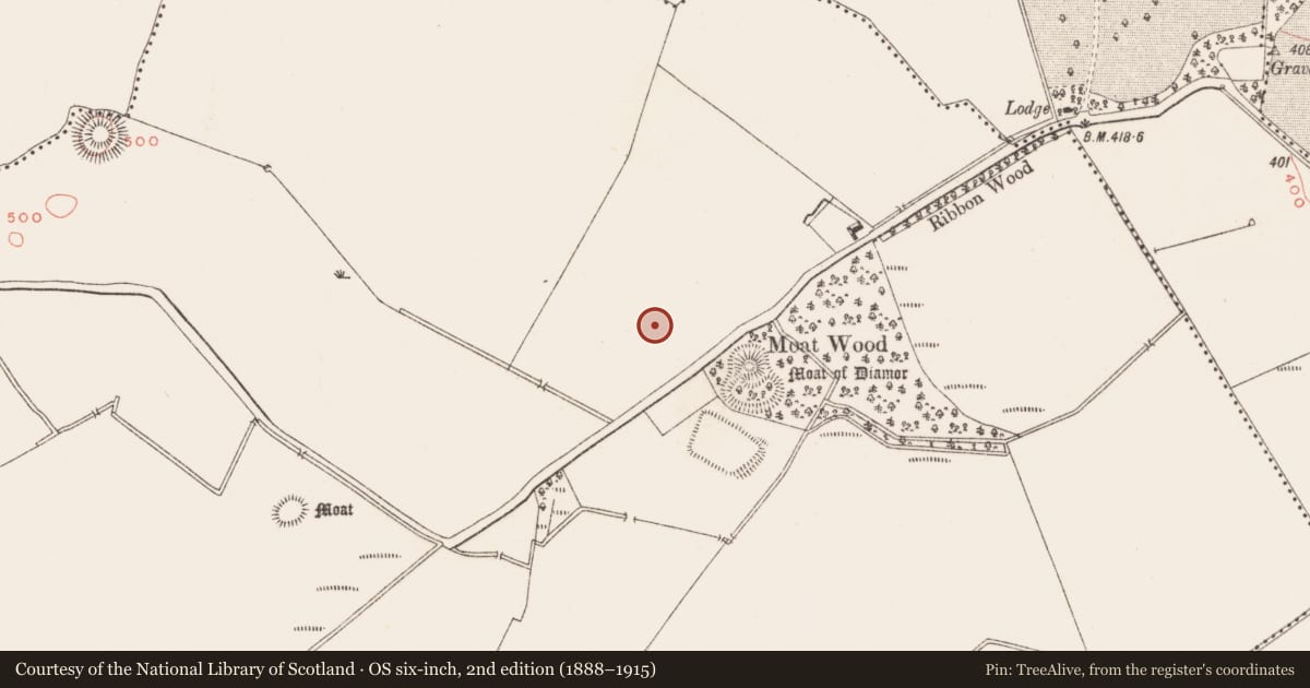 Ordnance Survey six-inch map, 2nd edition (1888–1915) covering the location of Mound, Diamor, County Meath, with a pin at the register's coordinates