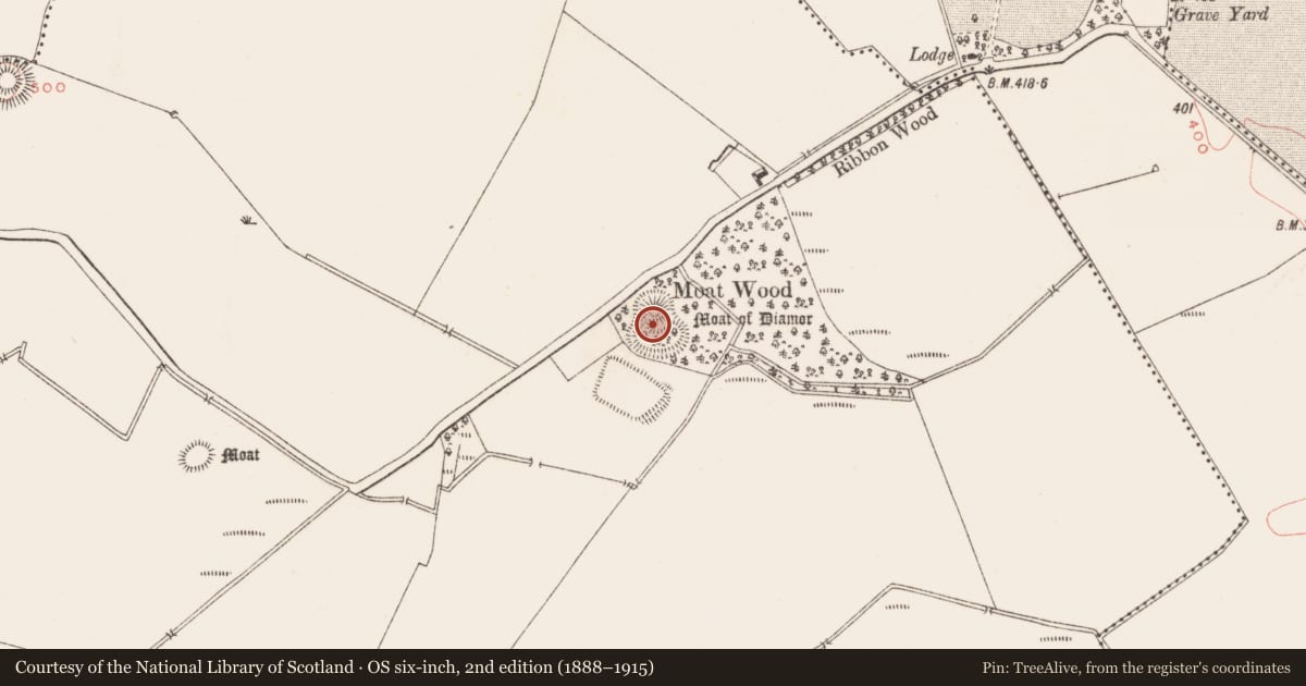 Ordnance Survey six-inch map, 2nd edition (1888–1915) covering the location of Castle - motte and bailey, Diamor, County Meath, with a pin at the register's coordinates
